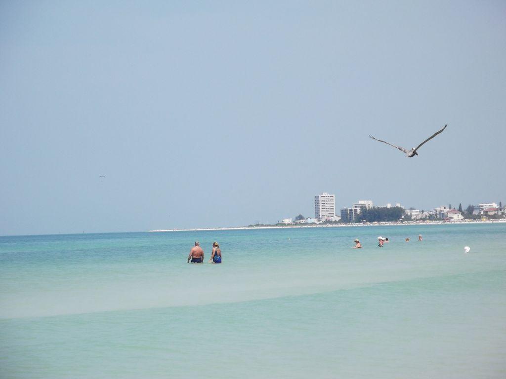 2Br/1Ba Vacation Rental - Sienna Park ซาราโซตา ภายนอก รูปภาพ